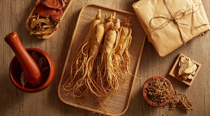 Żeń-szeń koreański - co to, zastosowanie i właściwości korzenia życia