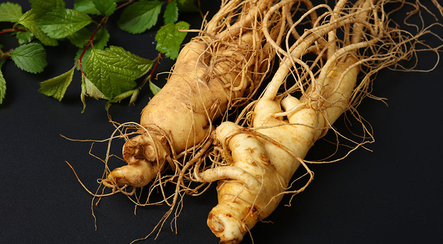 Żeń-szeń koreański, indyjski i syberyjski - czym się różnią i jaki wybrać?