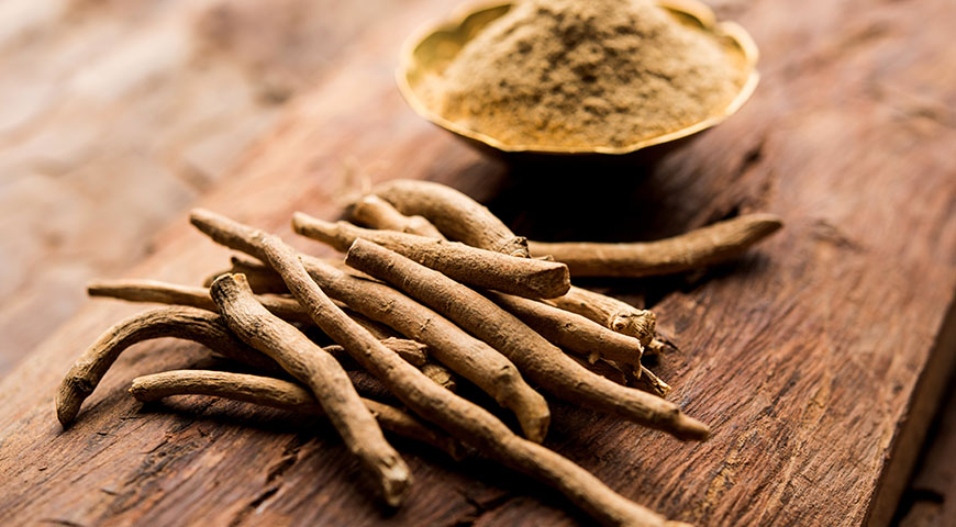 Korzeń Ashwagandhy - dlaczego warto go wybierać?